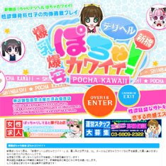 新橋デリヘルぽちゃカワイイ！公式WEBサイト